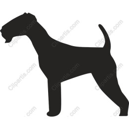 Elegant Dog