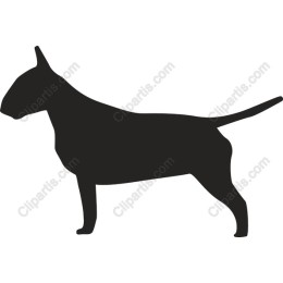 Bull Terrier