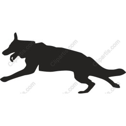 Dynamic German Shepherd