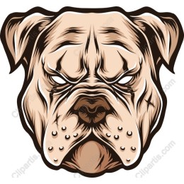 Premium Bulldog