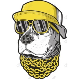 Trendy Urban Dog with Sunglasses and Gold Chain