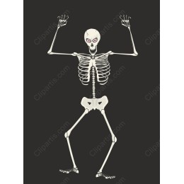 Charming Cartoon Skeleton
