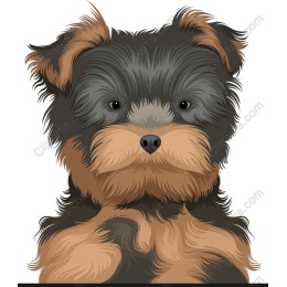 Yorkshire Terrier - Digital Dog Art