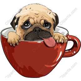 Pug in a Coffee Cup