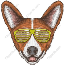 Corgi Glasses