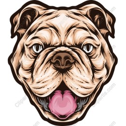 Playful Bulldog