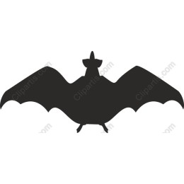 Bat