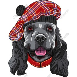 Charming Dog in Tartan Hat