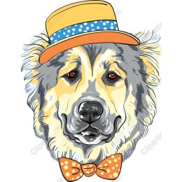 Charming Dog with Hat and Bow Tie