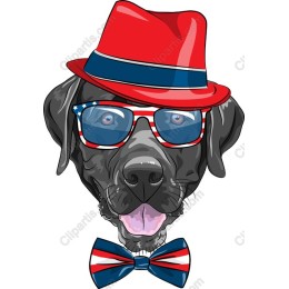 Patriotic Dog