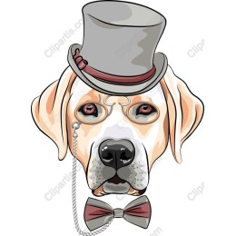 Dapper Dog
