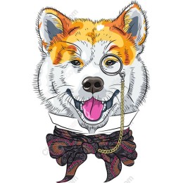 Dapper Dog
