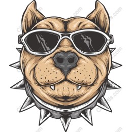 Pit Bull Power: Cool Sunglasses