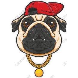 Stylish Pug