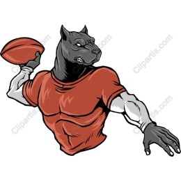Athletic Canine Football