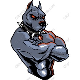 Muscular Bulldog
