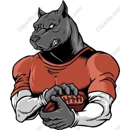 Muscular Dog Football