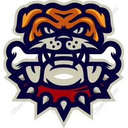 Fierce Bulldog