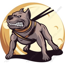 Aggressive Dog