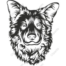 Shepherd Dog Head