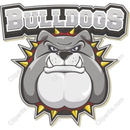 Fierce Bulldog