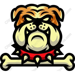 Fierce Bulldog