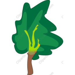 Vibrant Tree