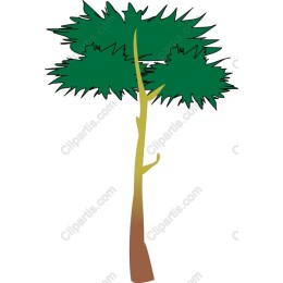 Lush Green Tree