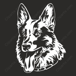 Charming Corgi Dog Portrait