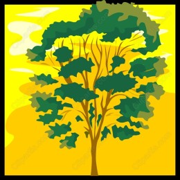 Vibrant Nature Tree