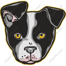 Charming Dog