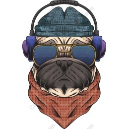 Fashionable Pug