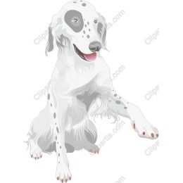Playful Dog