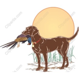 Labrador Retriever with Bird