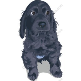 Charming Black Dog