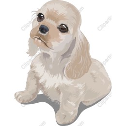 Adorable Puppy