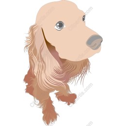 Charming Dog