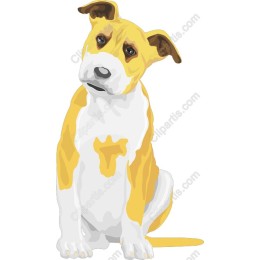 Charming Yellow and White Dog