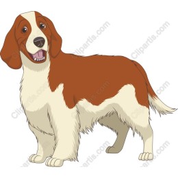 Friendly Dog