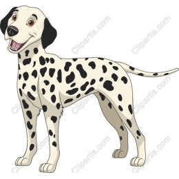 Cheerful Dalmatian Dog