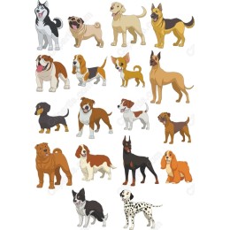 Dog Lovers' Bundle - 20 Unique Dog