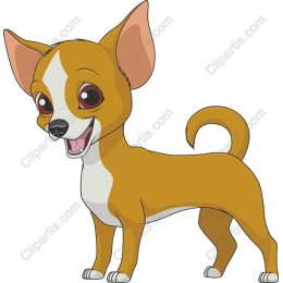 Charming Chihuahua