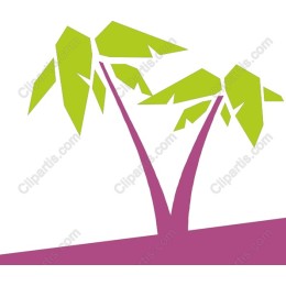Vibrant Palm Tree