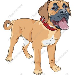 Joyful Dog