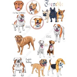 Bulldog Breeds Bundle