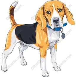 Charming Beagle