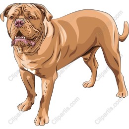 Majestic Dog