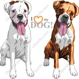 Boxer Dog Love - I ? my DOG!