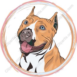 Happy Pit Bull