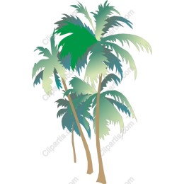 Tropical Bliss: Palm Trees